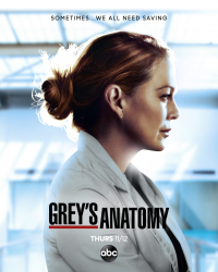 voir serie Grey's Anatomy